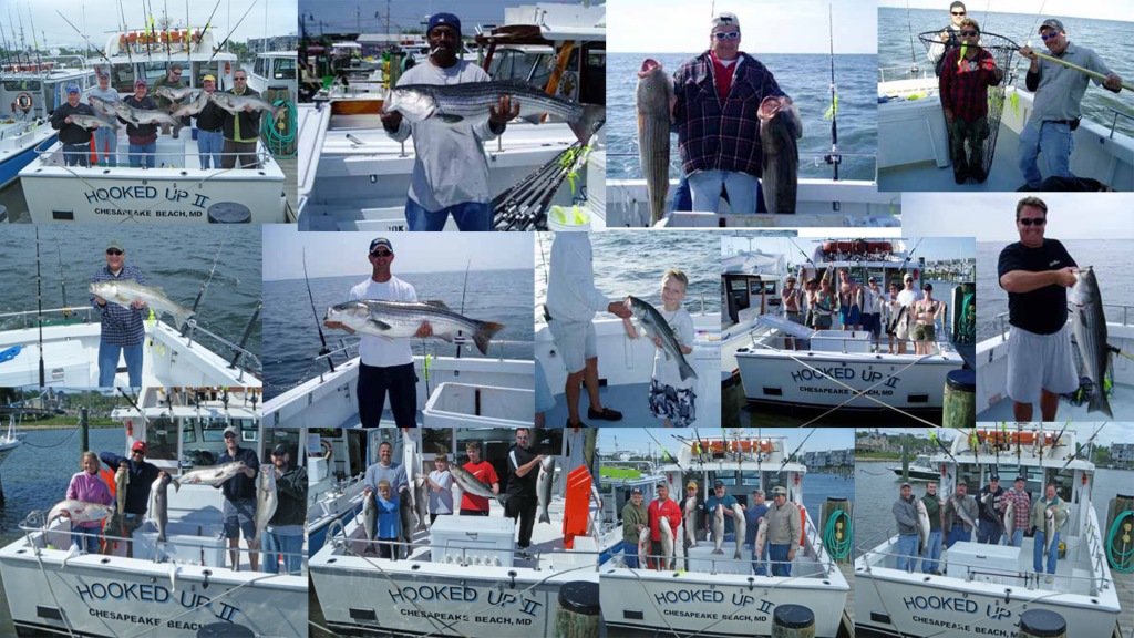 Hooked Up 2 Charters – Fishing and Fun from Maryland's Chesapeake Bay to  Islamorada Florida
